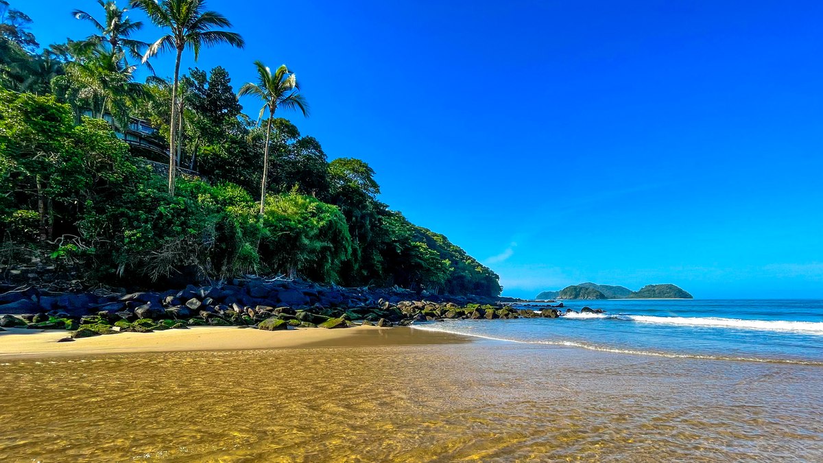 Imagem 6